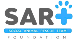 SART Foundation Logo
